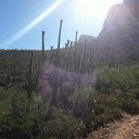 arizona from kells camera - IMG_3162